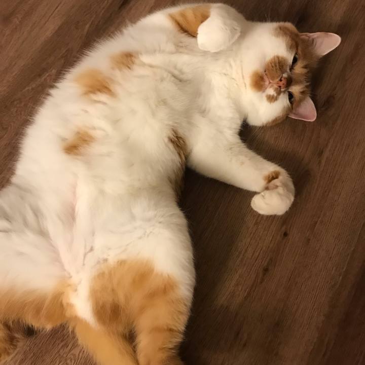 Bcff22a5 406c 4a14 9492 b1a28405a8c4 1620300368675