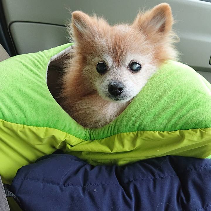 Bcff3cd8 730e 448a bc86 b047bc4d91cf 1640220867661