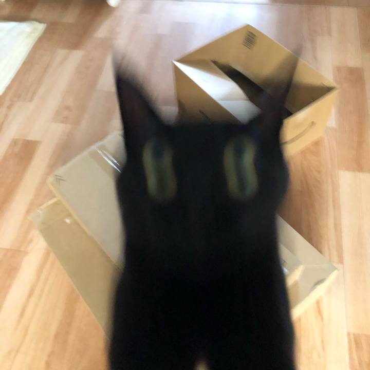 Bcff613d d51b 4b85 aeca c95e82cc8e1d 1573254223819