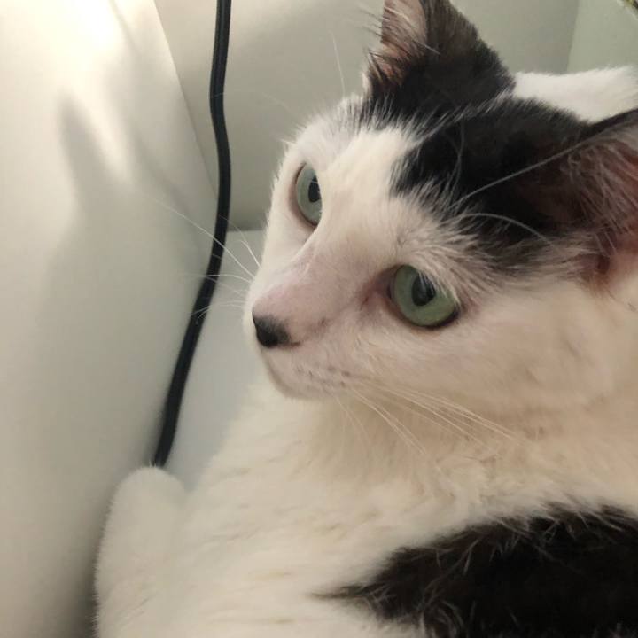 Bcff6553 b038 41bc b39f 1cfaaf1e9910 1596898462481