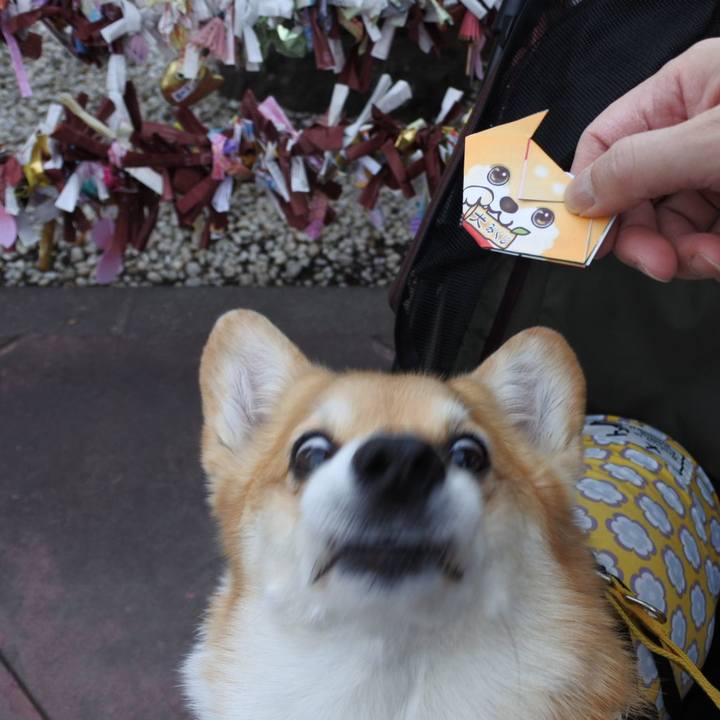 Bcff8251 6a63 4ff2 b63f 9ec81be81d11 1673773195331