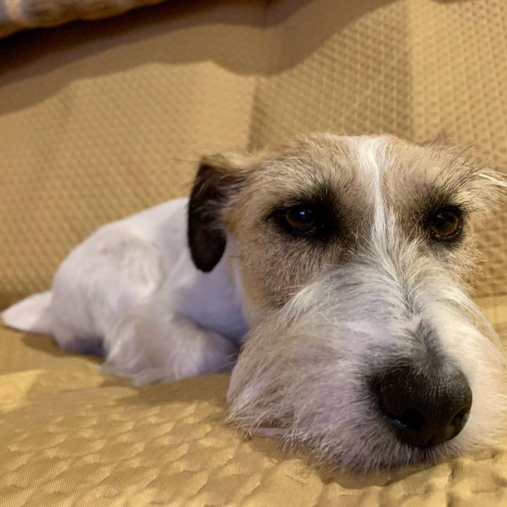 Bcffa5e3 d8e9 41a1 be26 ec5e3b48a45c 1651235080428