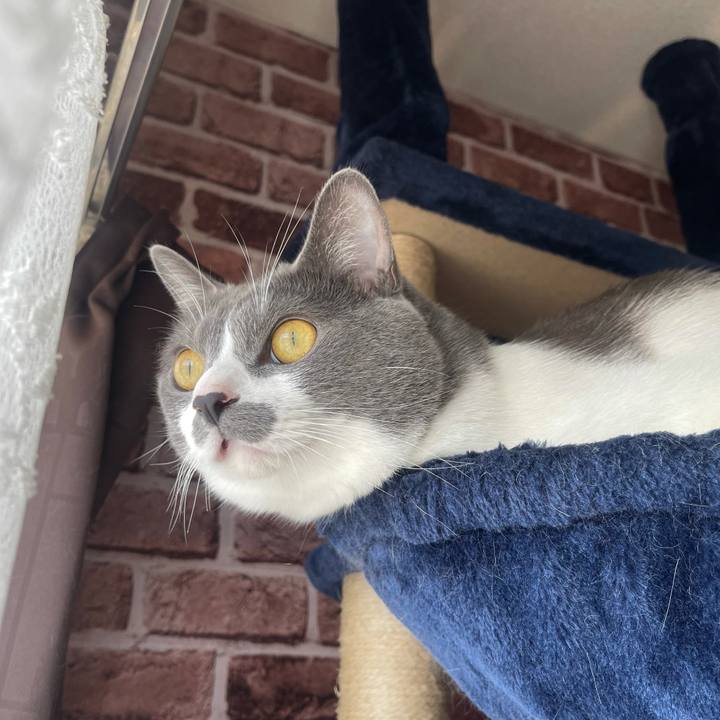 Bcffb7da 5b25 4775 9a6a 5c984b0ce961 1631232309894