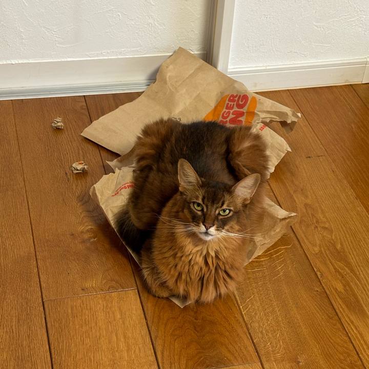 Bd000736 bcd5 4048 9035 3011bf100306 1753523203227