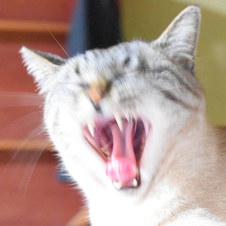 Bd0037ea ab9b 4162 ad2f 490fef8043a7 1526556139823