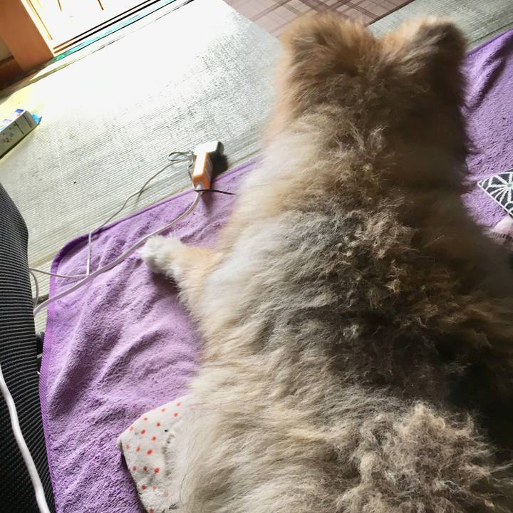 Bd004f93 08b1 427f 9349 17a715071b99 1576977873529