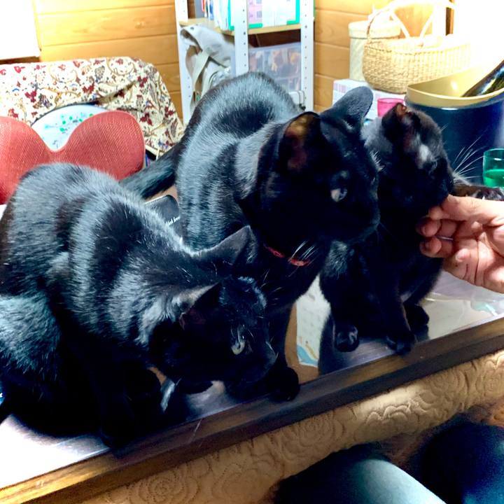 Bd007499 f21f 4190 9e61 37297ed23795 1647774809116