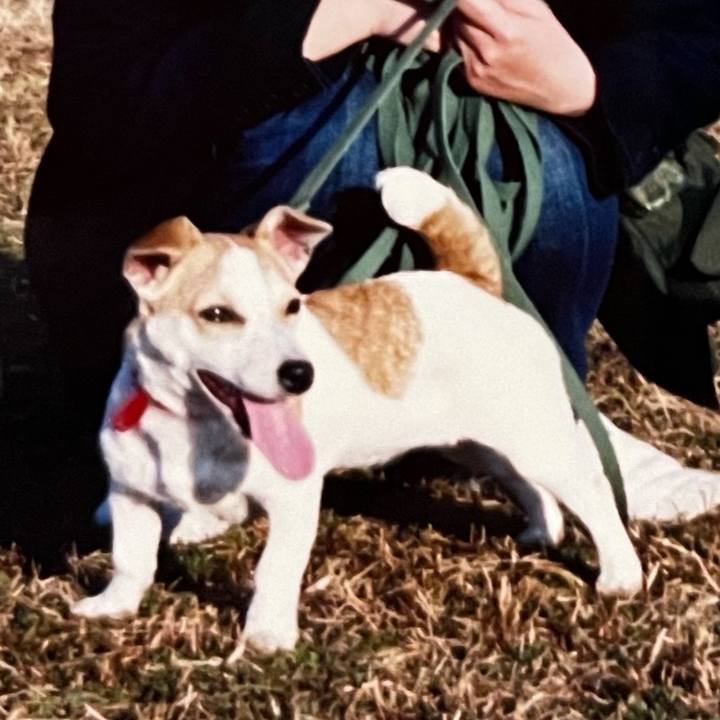 Bd0090b1 f2c2 4d70 94bb caeee7a4601b 1617319258291