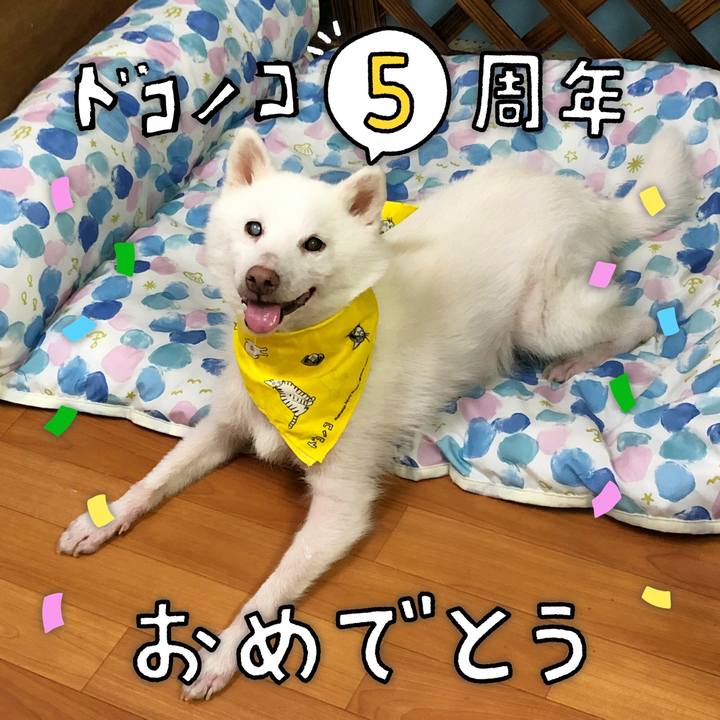 Bd009cc9 ba82 4ec0 96ac f3be39efa025 1622902852628