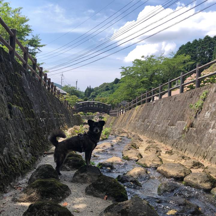 Bd00a2c5 22c2 4d71 91f8 519fd4223a79 1628648316607