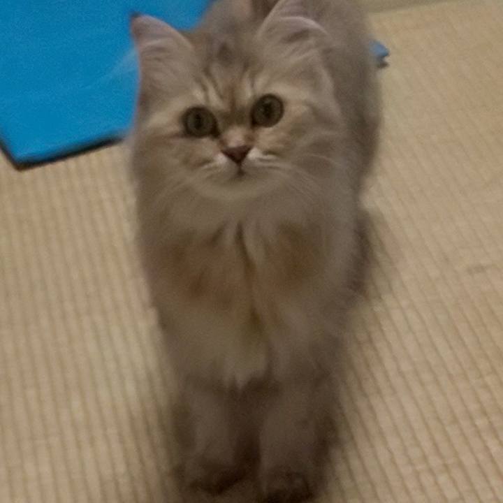 Bd00a4ea 157c 418b bfc5 806ec7de51a3 1630155872030