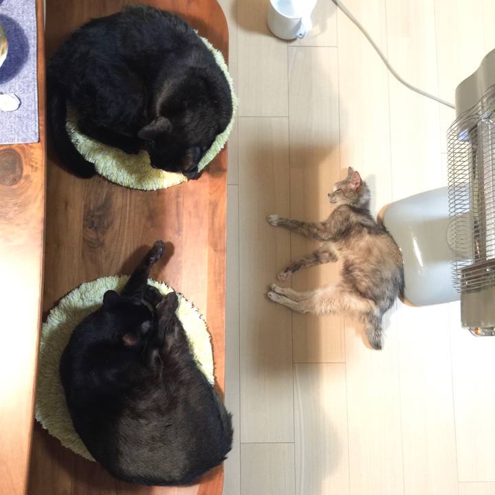 Bd00c3ca 87b5 426e 9986 b7b0bf014f79 1514813639009