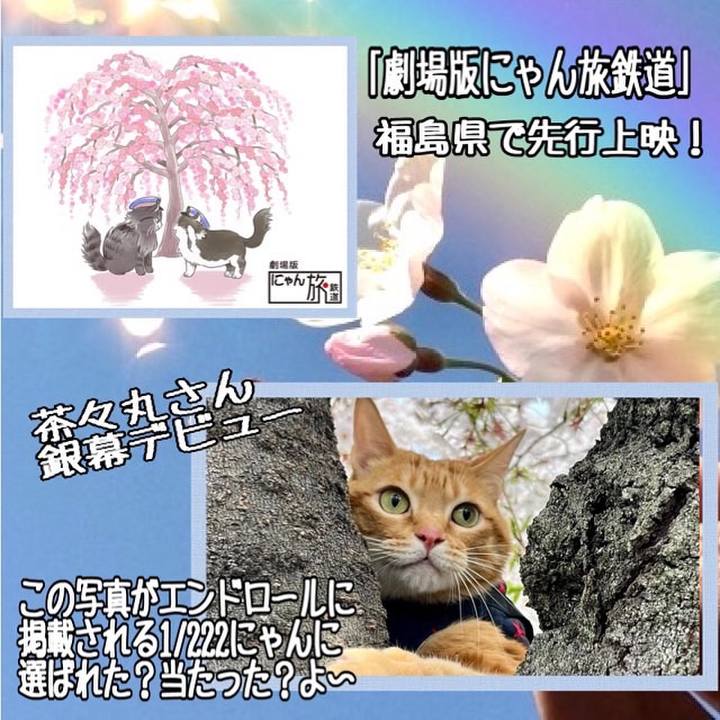 Bd00f372 89b0 4b7a ad69 a546c76d166e 1657183642727