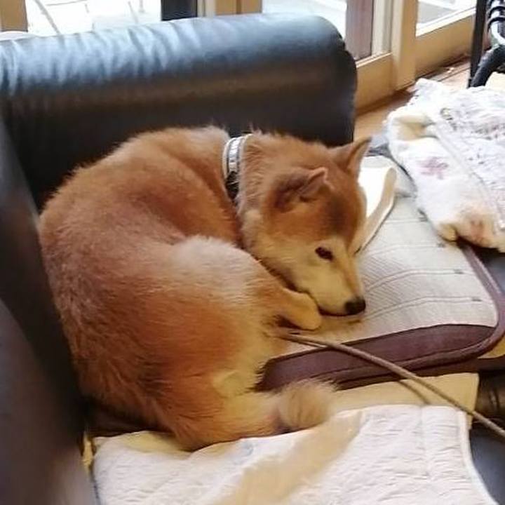 Bd00f4b7 91ca 46dd 8dda 2893713b6125 1595905337816