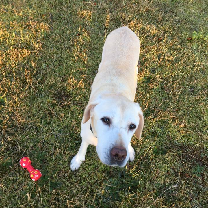 Bd011c2e f1ec 4d1e 91ad 7dcdae9a3114 1510545222663