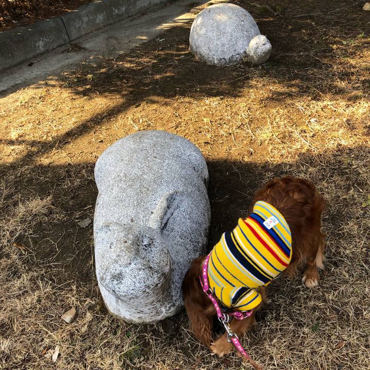 Bd0181fa 855a 44d3 9789 51ed9589ac17 1643503277927