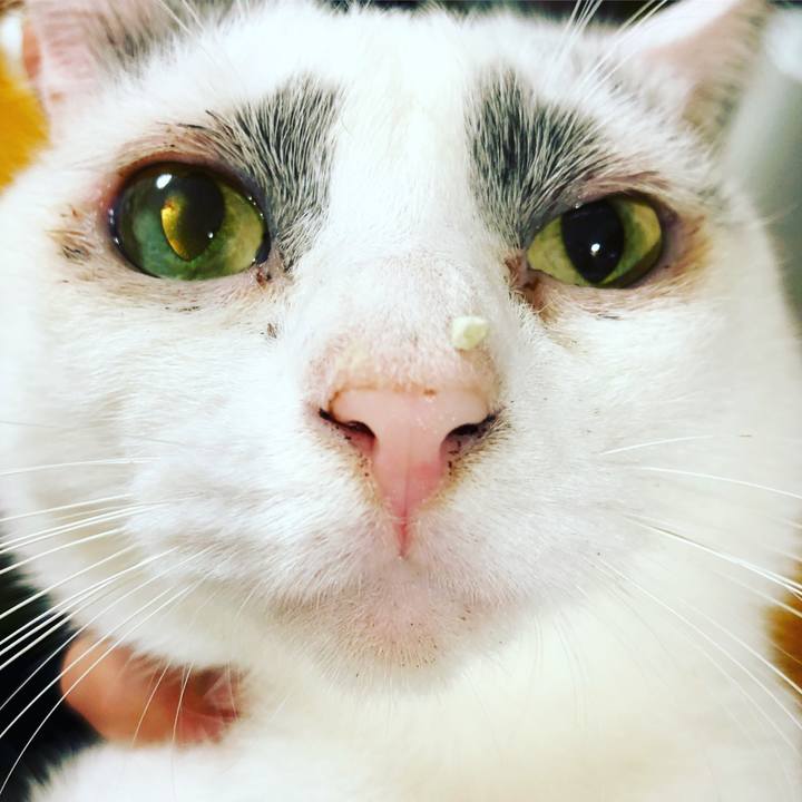 Bd01a719 b02e 4de1 b08d d2d2686c4b0e 1539226853733