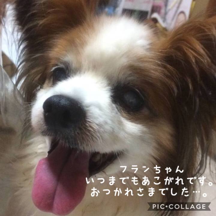 Bd0206d9 13b1 494c 91c2 3b29bd003727 1525391916937