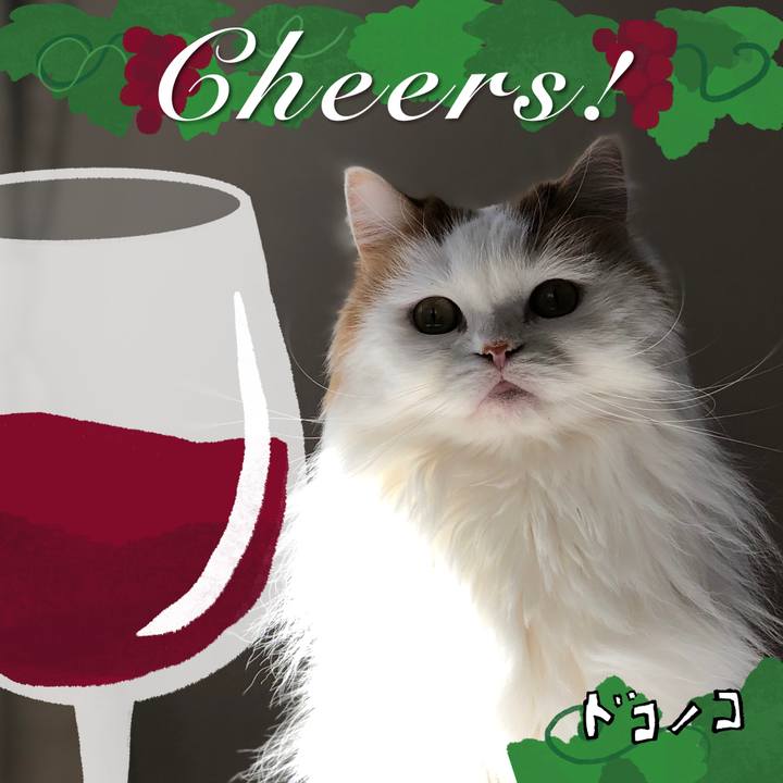 Bd022c62 d101 4c54 94b0 b8430730230f 1761105098854