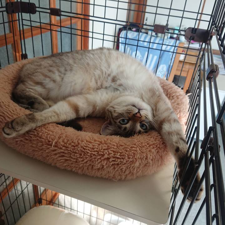 Bd022ff6 e0fc 47fa 9e24 2791d00be5ef 1549085282271