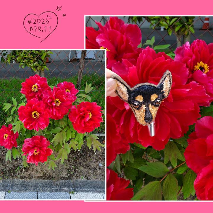 Bd02682e bc0a 470a b4a9 bc58823e0e9d 1776462115579