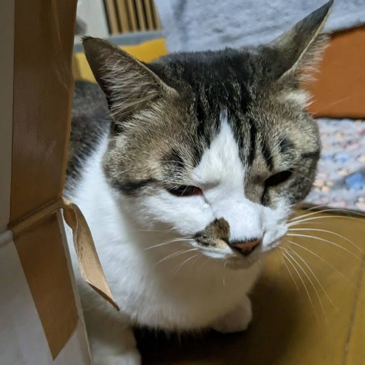 Bd027519 30d5 4e13 9bb0 e981610e004c 1679410223576