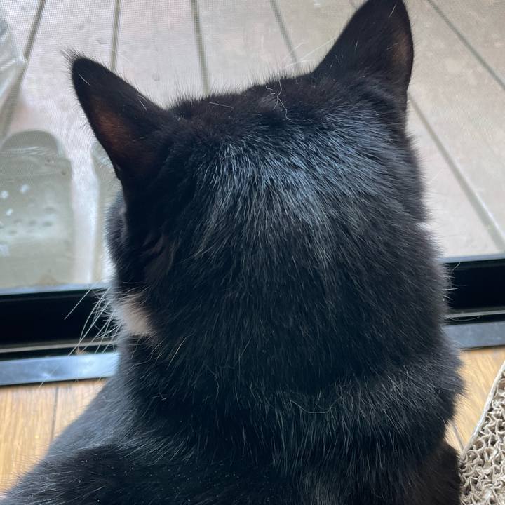 Bd02dd1f 04da 46a3 8ca3 901477dfa80b 1687087959552