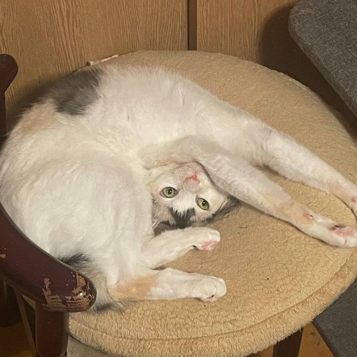 Bd02df1f a536 4080 8fb0 c6c94398f06d 1730896915238