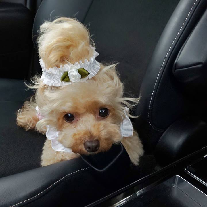 Bd02f52f c15a 4286 9e0d f693e6dd7905 1568631665347