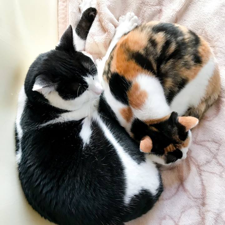 Bd03869b 25be 421d a7eb d53b87631f16 1515595201991