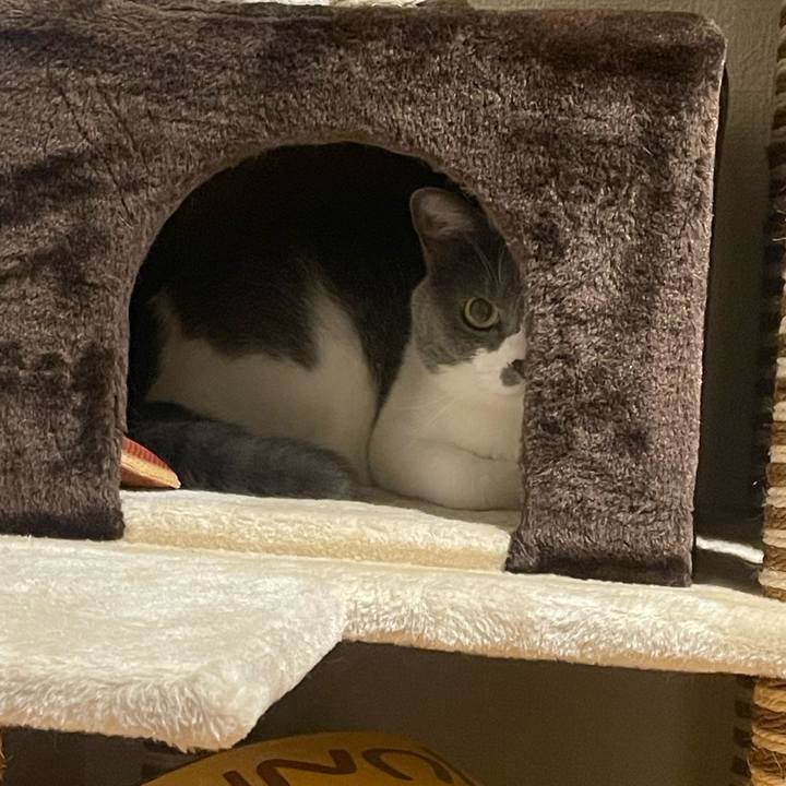 Bd03880a bc56 4b3c b241 9e73ae192a92 1690196226881