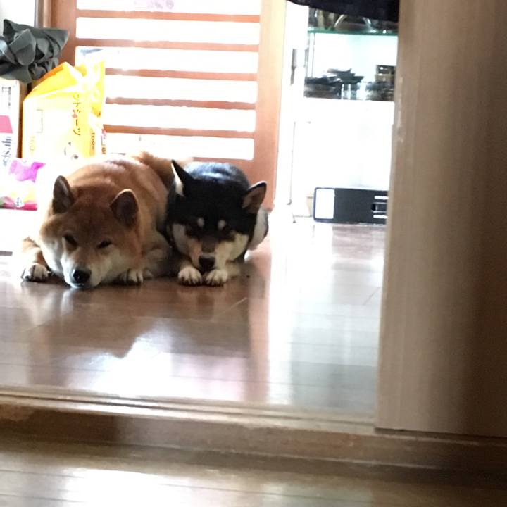 Bd039b2d 36f5 476e 9cfe 1d2f3138abb2 1521413736799