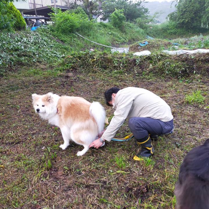 Bd03a8ad 8f2e 4c00 a919 6ec01fe200ca 1621428482018