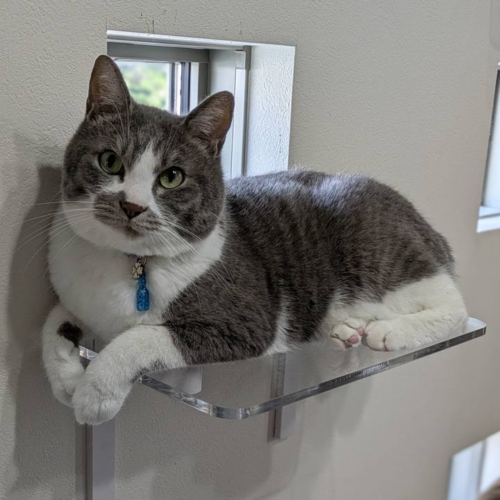 Bd03b929 381a 44b2 b962 648f5f64d487 1751185155681