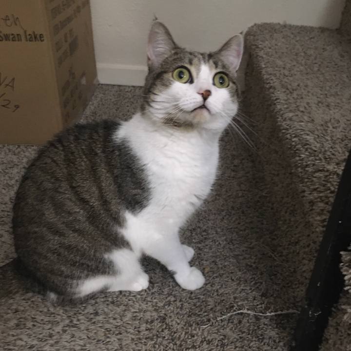 Bd040694 6c86 47e6 bca6 73cb0bba9ba7 1631678429866