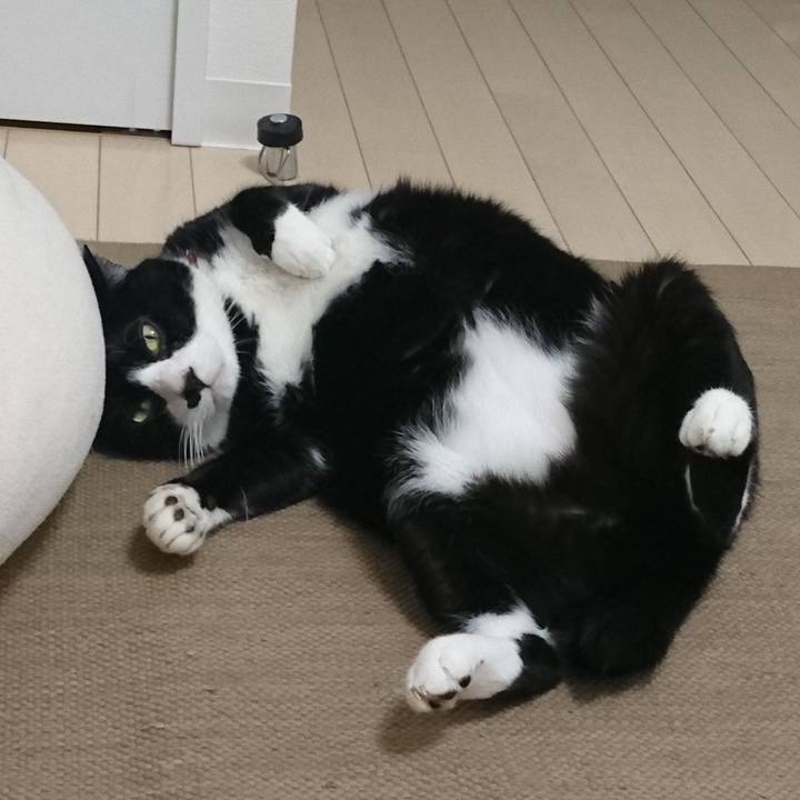 Bd042406 aa8d 4aa4 96f5 db5fbf853273 1597252553922