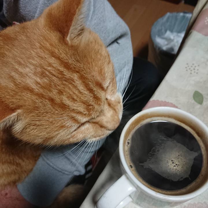 Bd042b38 5e9d 4958 a177 2ecfd8ff2cb1 1606246815389