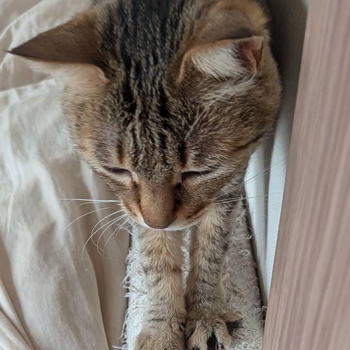 Bd042cc7 a0d4 4eb7 b85d 35f0c73a352a 1774390087491