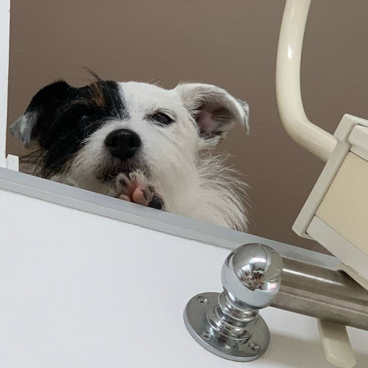 Bd048c66 7450 49c5 995e 308b0a19a8cd 1592794560980