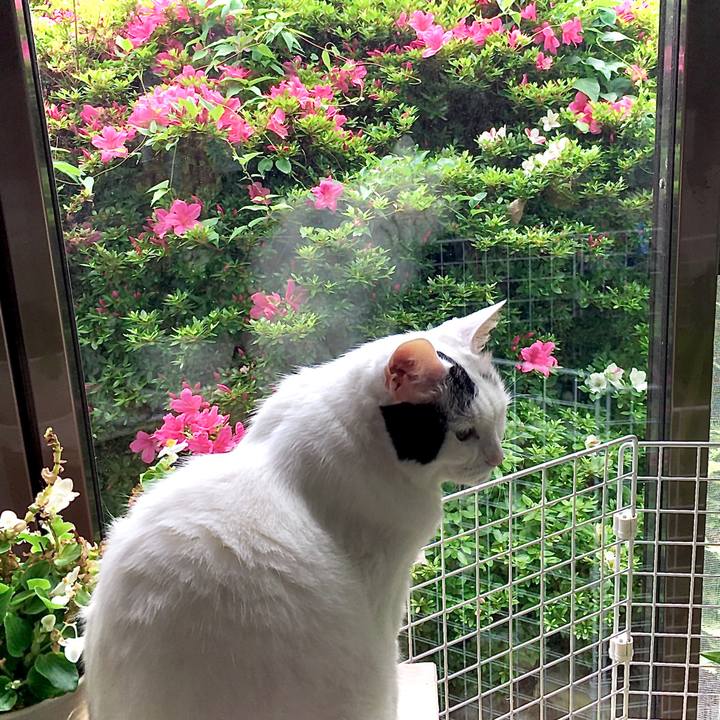 Bd049f02 374d 4236 b26a b90e78c9262c 1591517237665