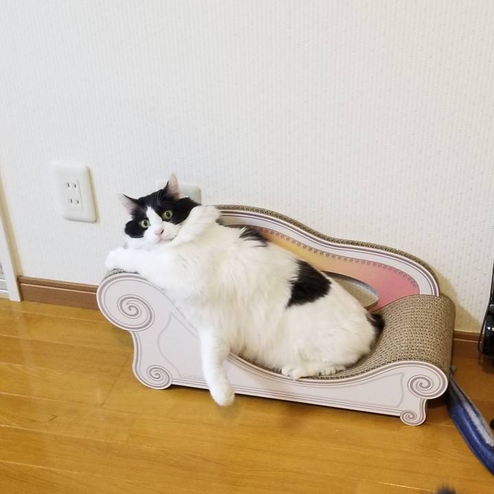 Bd04a8cc 638a 42f9 95b1 8d51c21d98bc 1577322928013