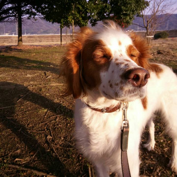 Bd04adfb eba4 4df8 a81a eaa0f3ca2dd2 1518163494300