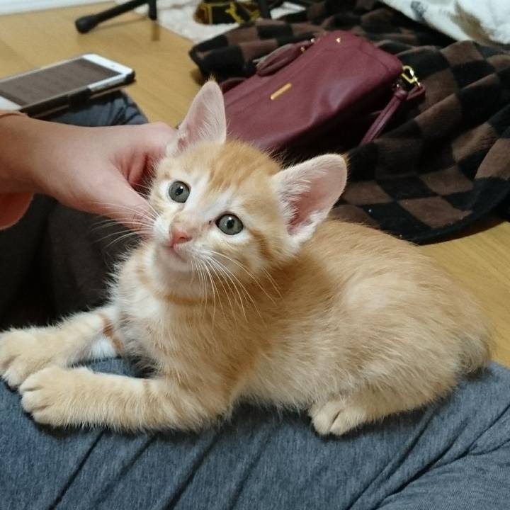 Bd04f582 c702 498f b137 5432ab916d1f 1570509314164