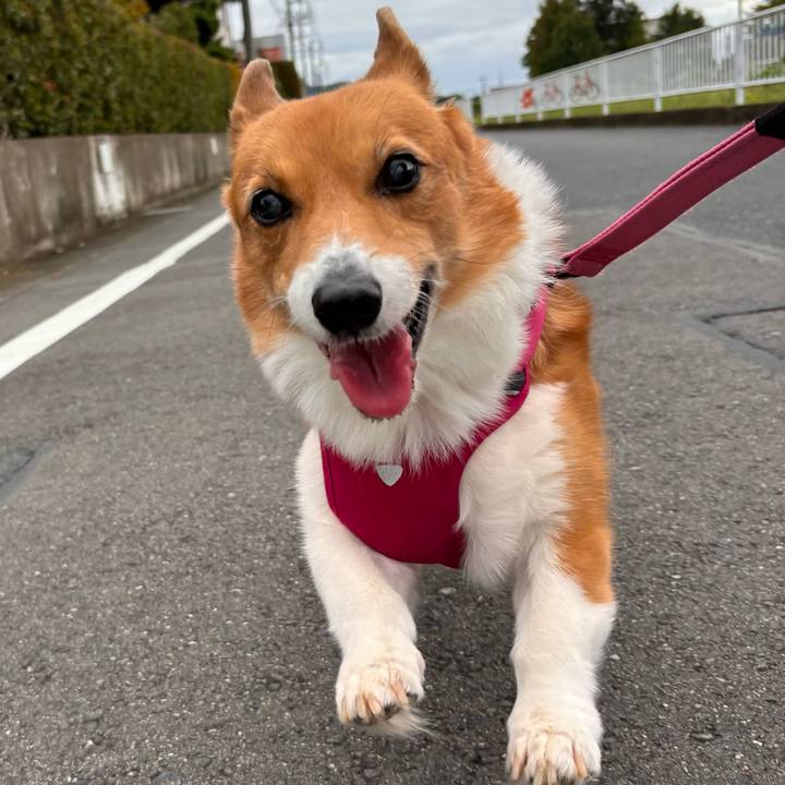 Bd050fb0 5d74 455e 8a98 de0f814f0a3a 1728542940458