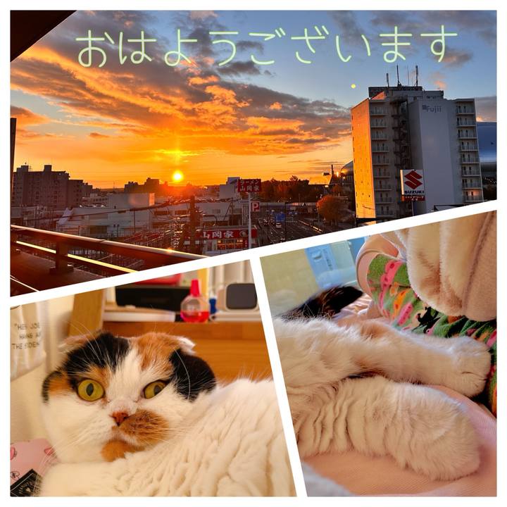 Bd051add 854c 488b 90c0 7be003fba36b 1699742004382