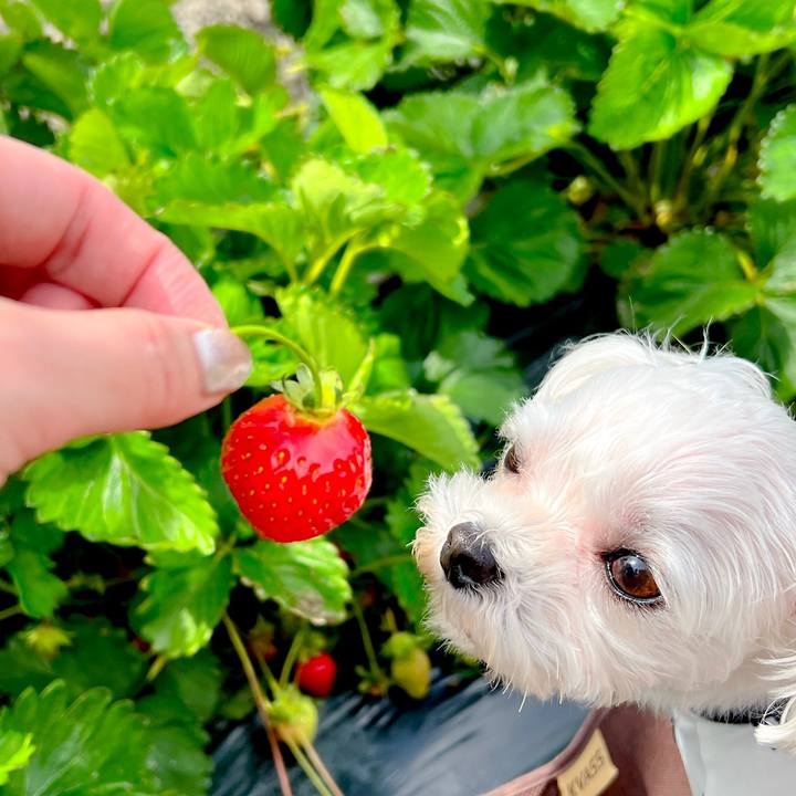 Bd052791 72c5 42bb b535 d10b31d175cb 1683709713926