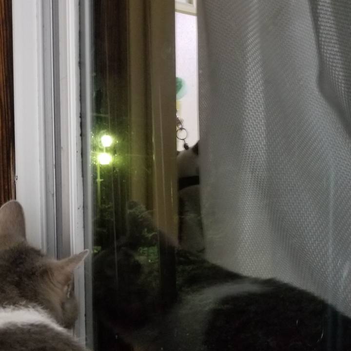 Bd052d24 8aac 4dc7 897c a3d81cbb08ea 1542891500421