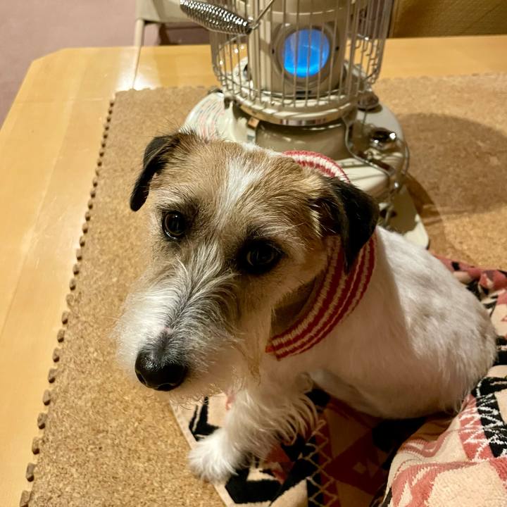 Bd0534b5 f577 41c6 a193 4644f84ee8f9 1678108467816