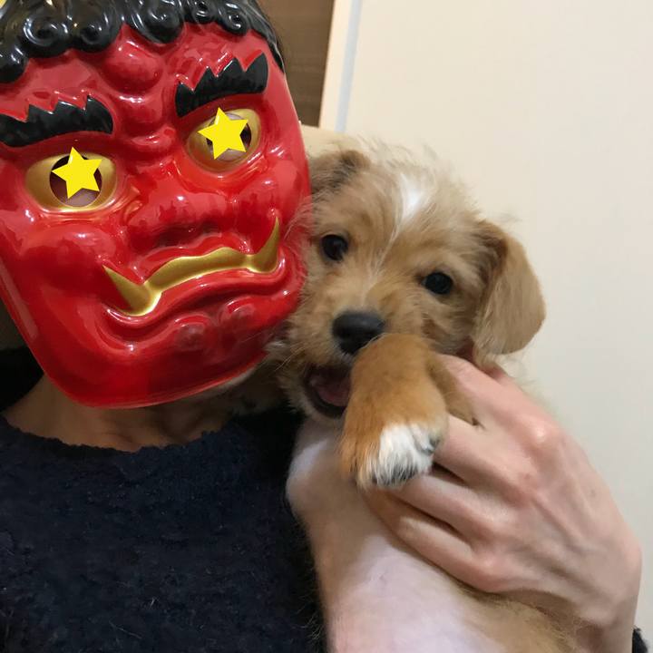 Bd05506f 8806 4c27 bdfe c1c77f477720 1517648904896