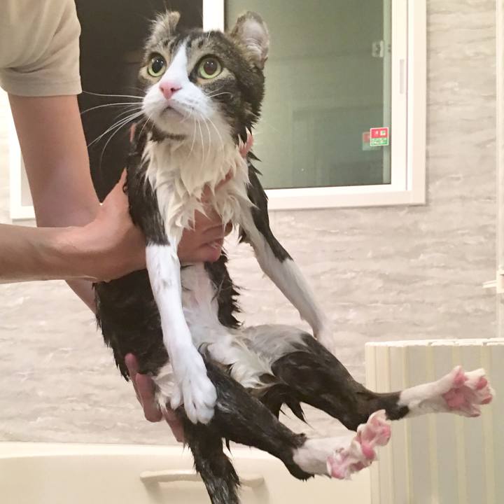 Bd058643 3c32 4aec b329 65ff5a3c2441 1510057582069